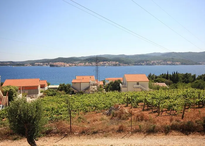 With Parking Space - Perna, Peljesac - 10161 Apartman *